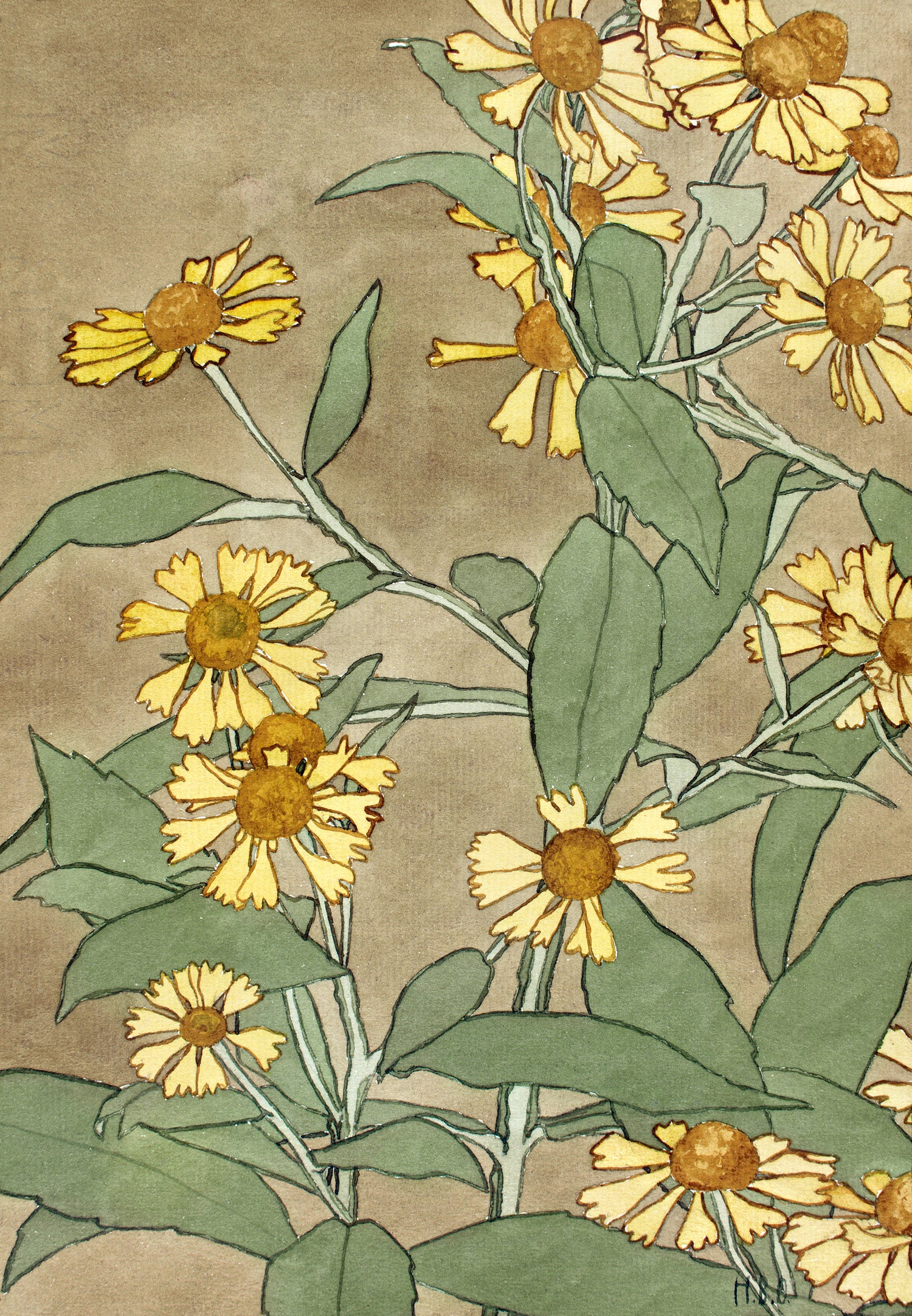 Daisies with Orange Center and Yellow Petals (1915) by Hannah Borger Overbeck