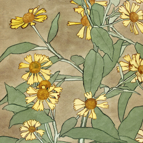 Daisies with Orange Center and Yellow Petals (1915) by Hannah Borger Overbeck