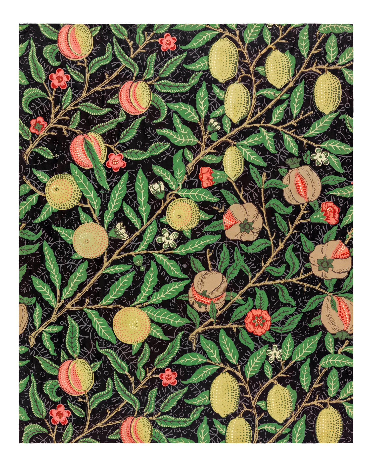 Fruit pattern wall decor (1862) by William Morris