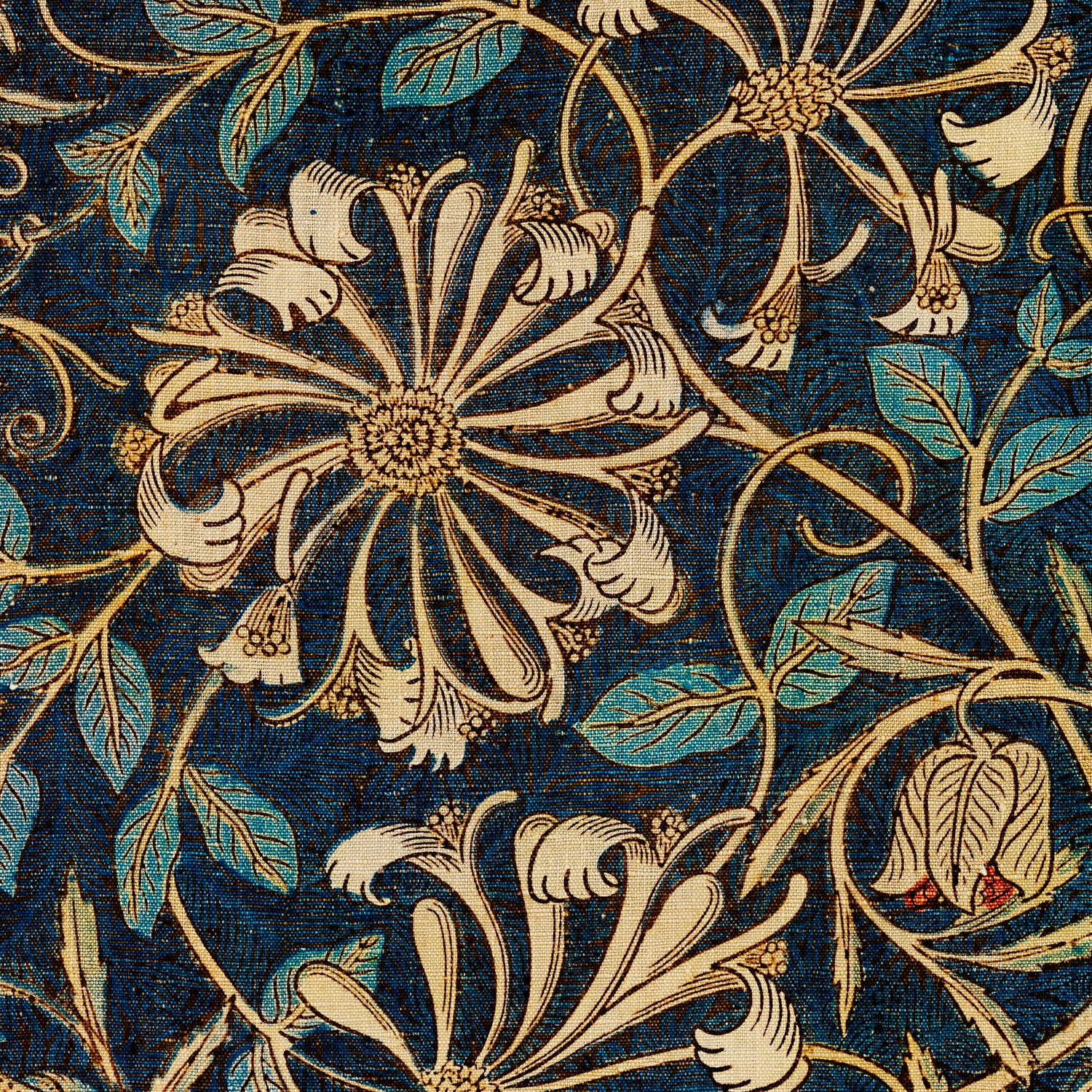 Honeysuckle (1876) by William Morris