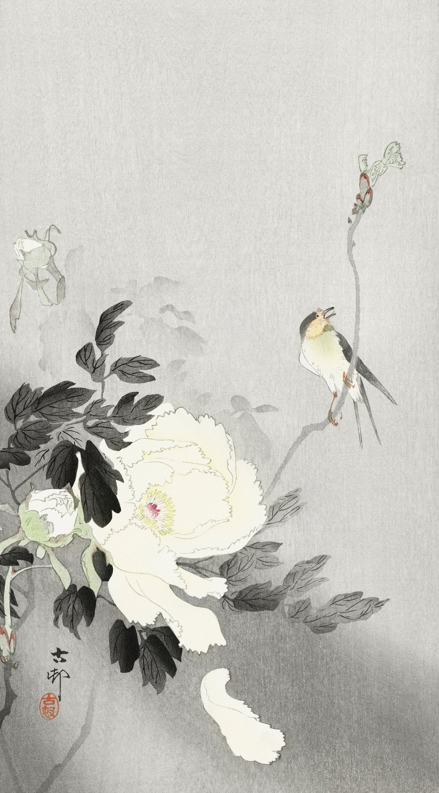 Swallow with Peony (1900 - 1930) by Ohara Koson