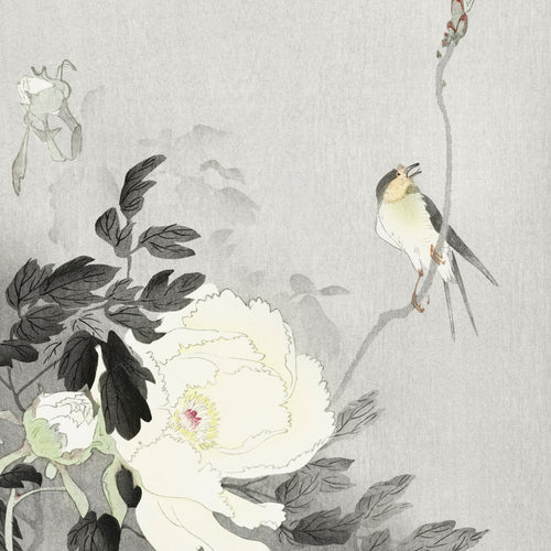 Swallow with Peony (1900 - 1930) by Ohara Koson