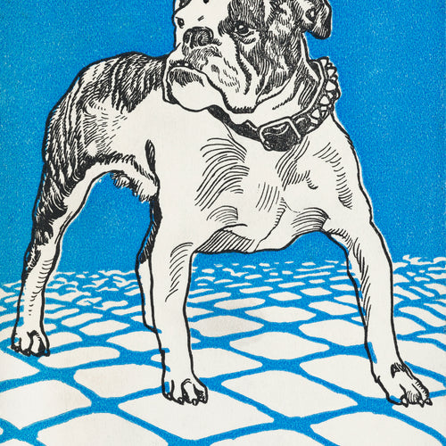 Bulldog (1912) by Moriz Jung