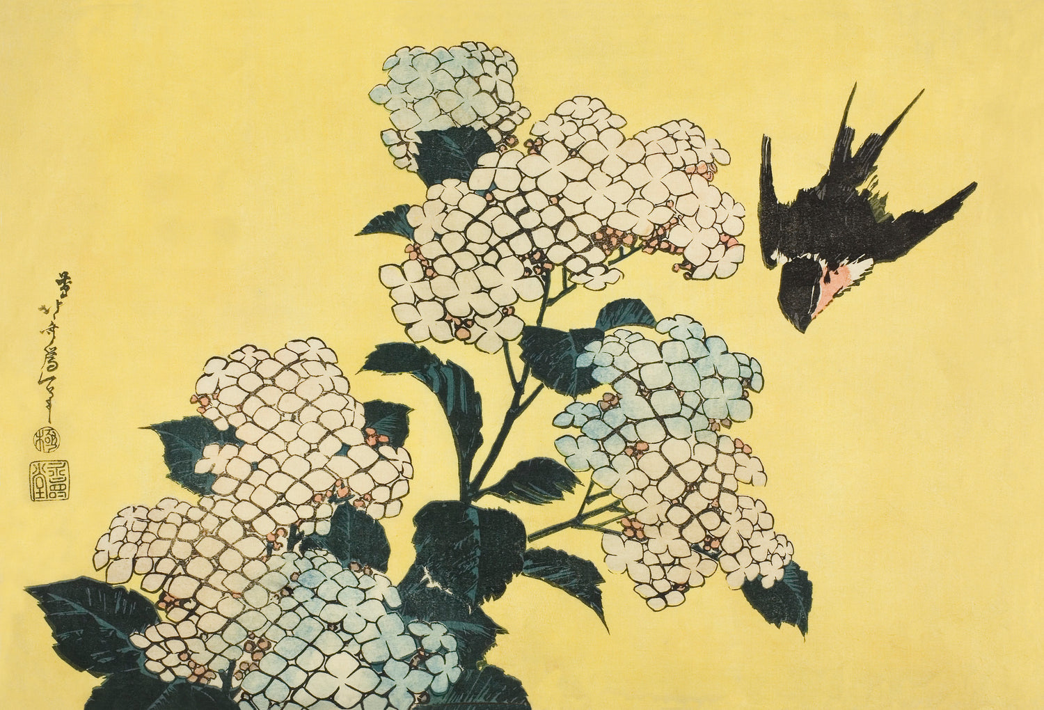 Hydrangea and Swallow, from an untitled series of large flowers (1833/34) by Katsushika Hokusai