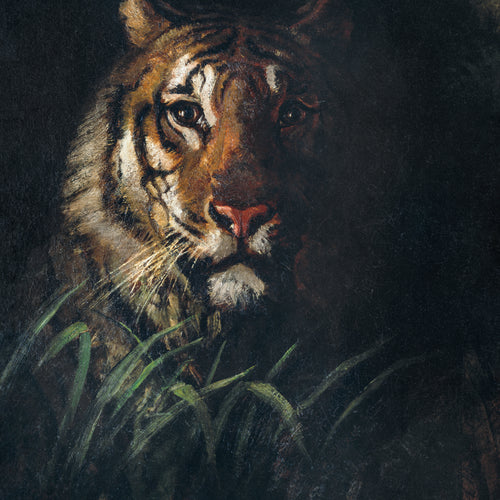 Tiger's Head (No year given) by Abbott Handerson Thayer