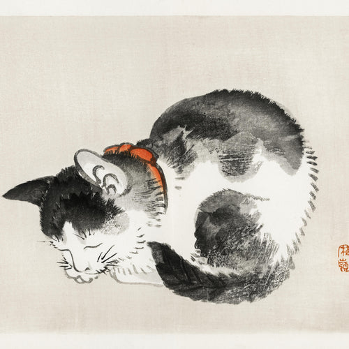 Sleeping cat (1913) by Kōno Bairei