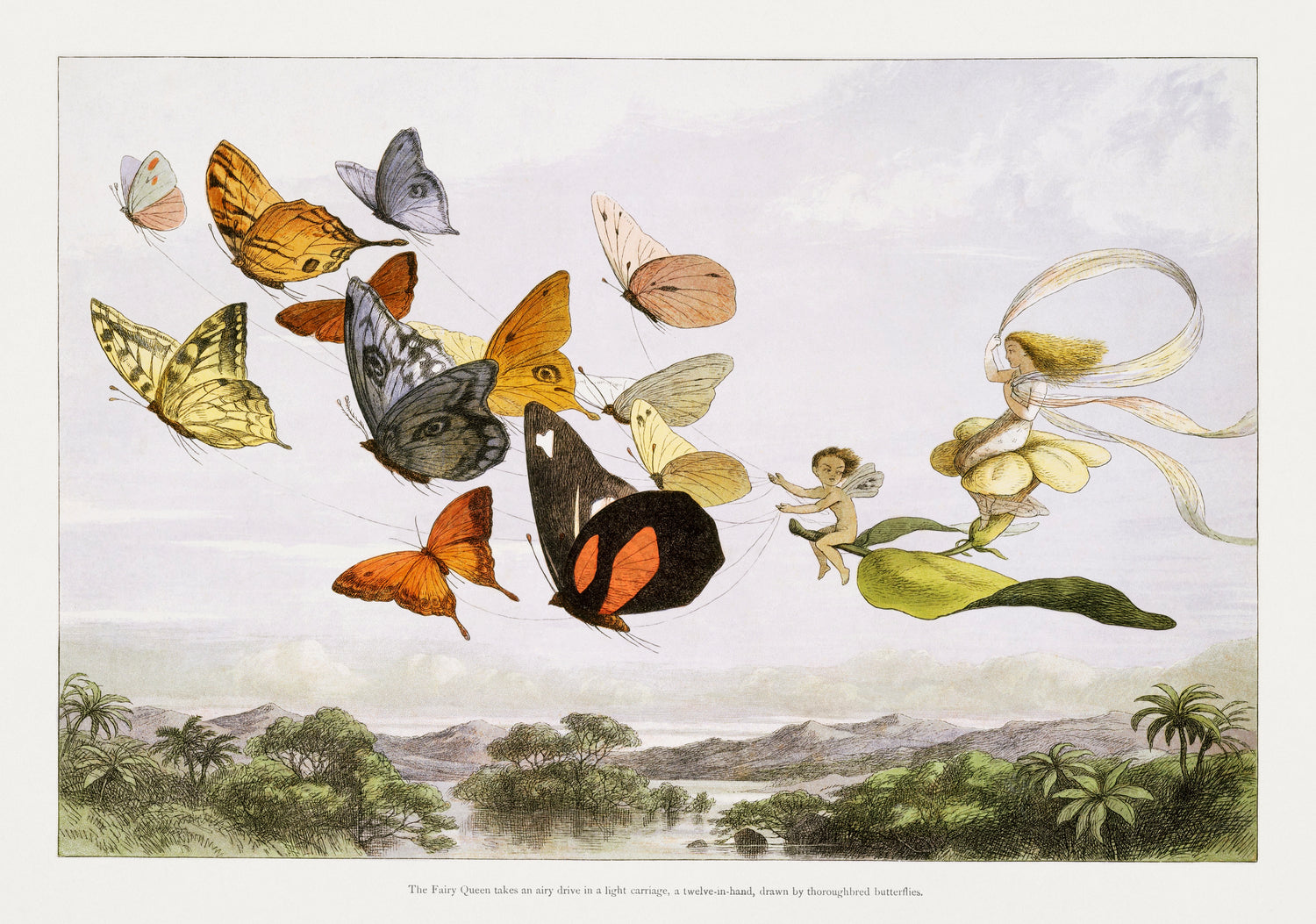 The Fairy Queen Takes an Airy Drive in a Light Carriage, a Twelve-in-hand, drawn by Thoroughbred Butterflies (1870) by Richard Doyle