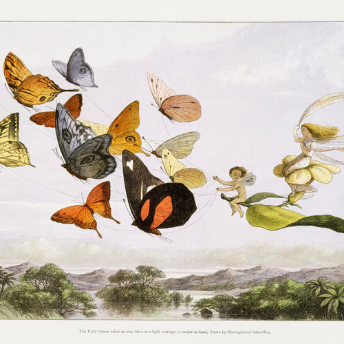 The Fairy Queen Takes an Airy Drive in a Light Carriage, a Twelve-in-hand, drawn by Thoroughbred Butterflies (1870) by Richard Doyle