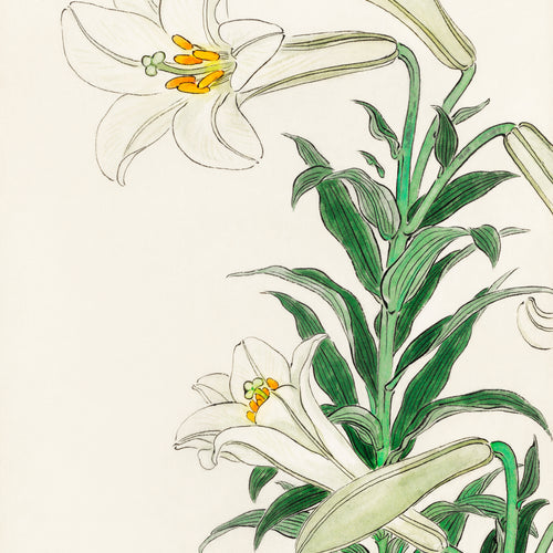 Lilies (1912 - 1930) by Ohara Koson