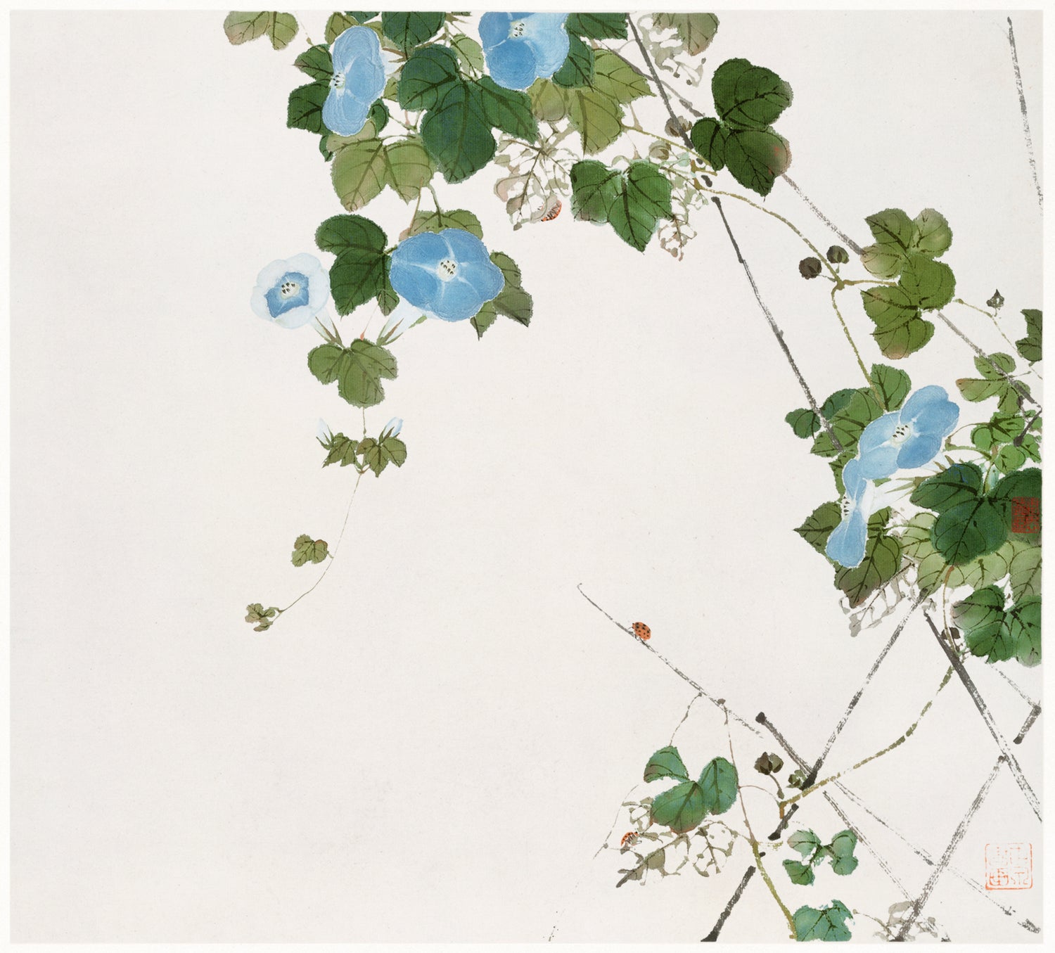 Insects and Flowers (1644-1911) by Ju Lian