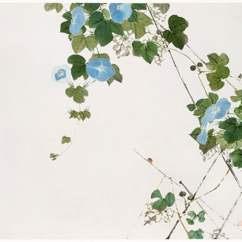 Insects and Flowers (1644-1911) by Ju Lian