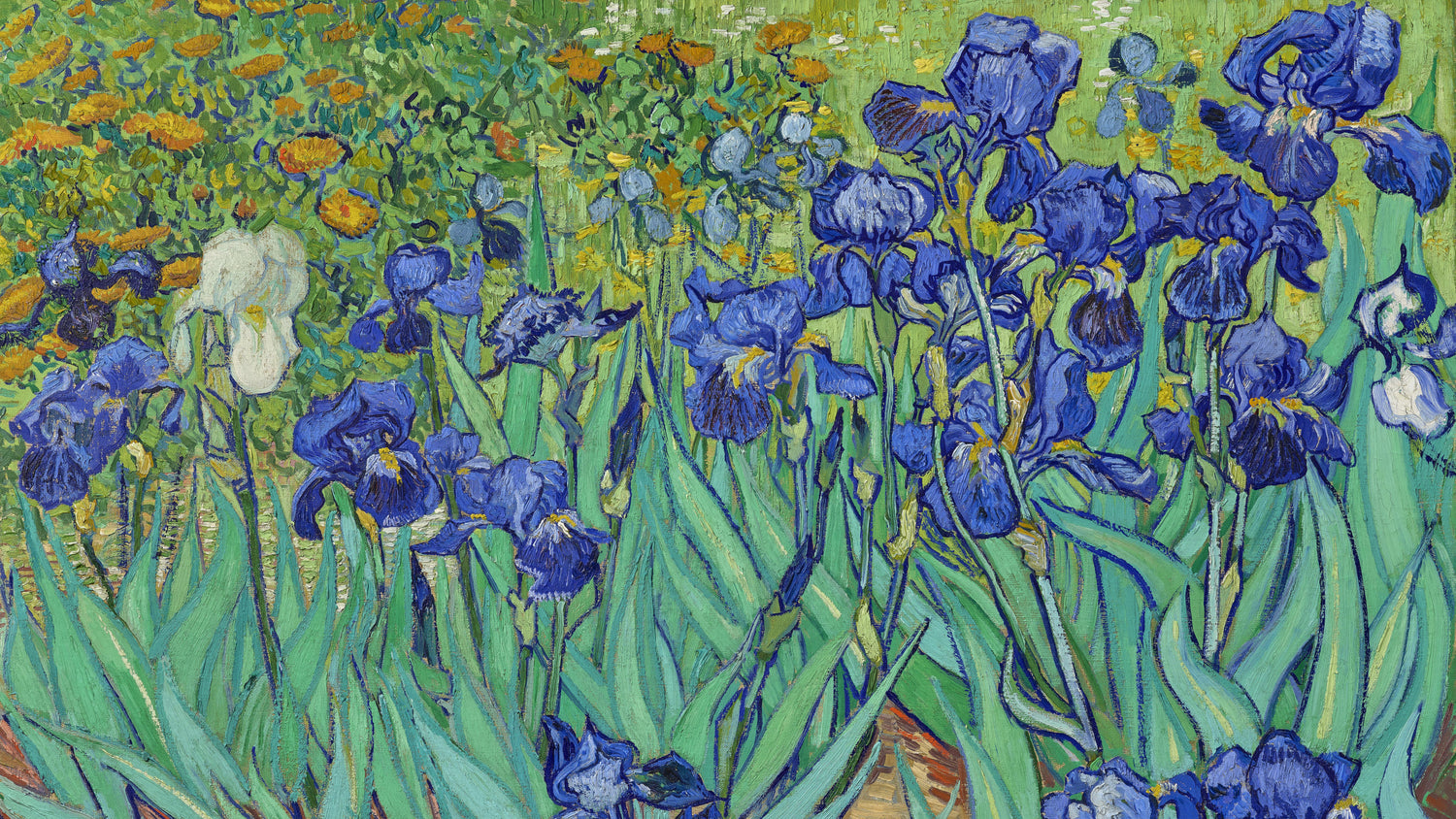 Irises (1889) by Vincent van Gogh