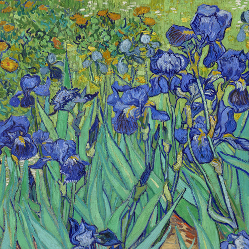 Irises (1889) by Vincent van Gogh