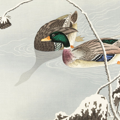 Two Mallards near a Snow-Covered Lotus (1925 - 1936) by Ohara Koson