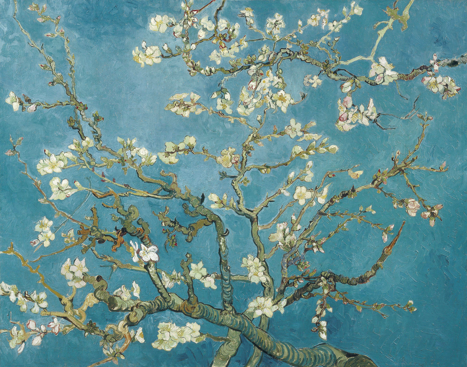 Almond blossom (1890) by Vincent van Gogh