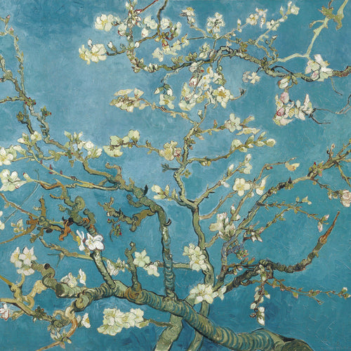 Almond blossom (1890) by Vincent van Gogh