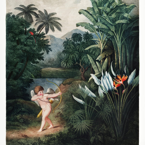 Cupid Inspiring Plants with Love from The Temple of Flora (1807) by Robert John Thornton