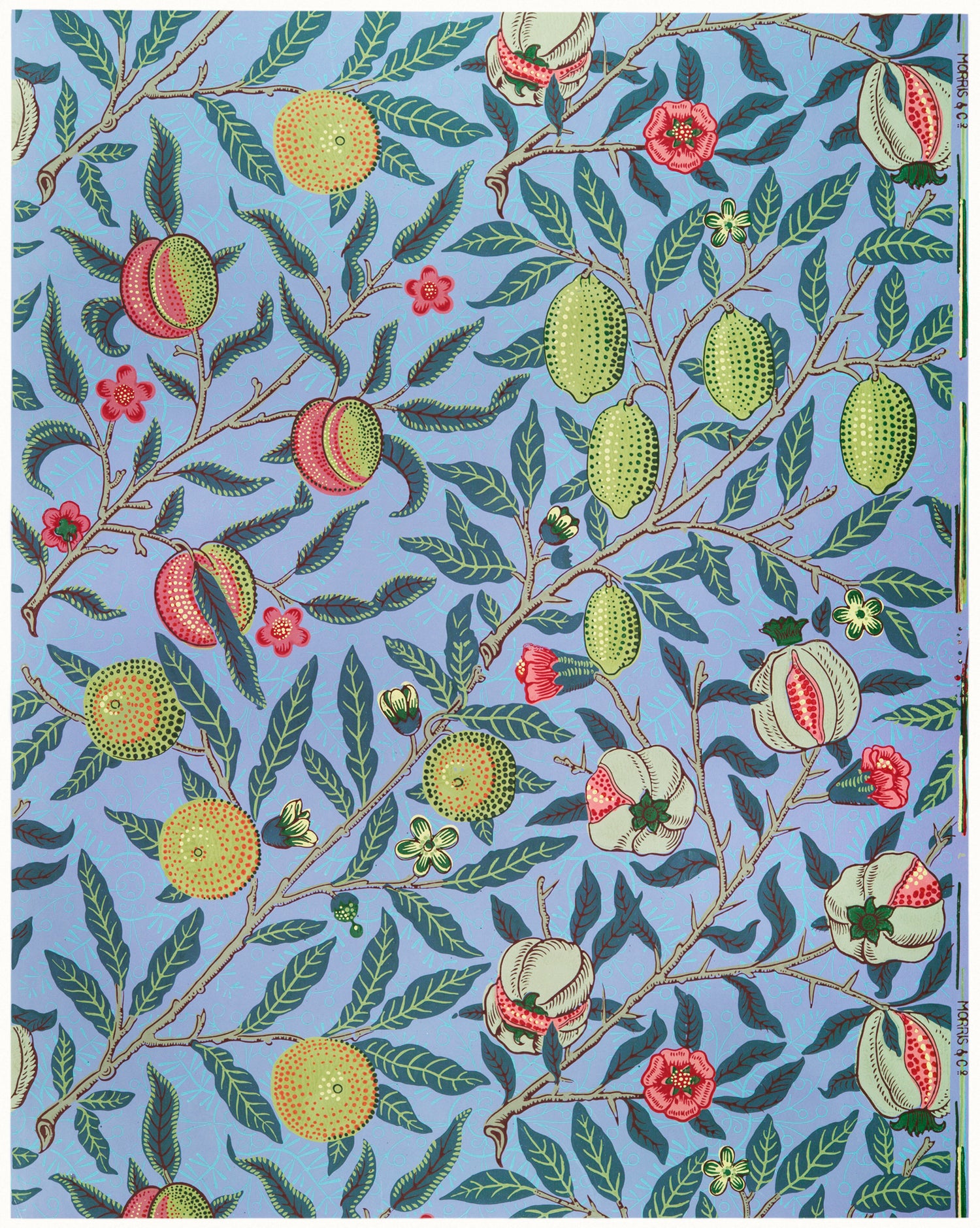 Fruit or Pomegranate (1896) by William Morris