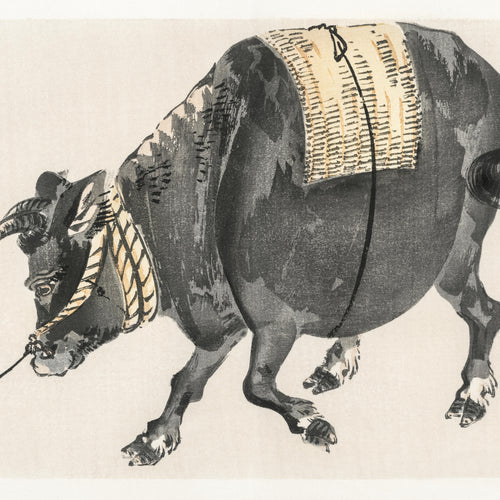 Black bull (1913) by Kōno Bairei