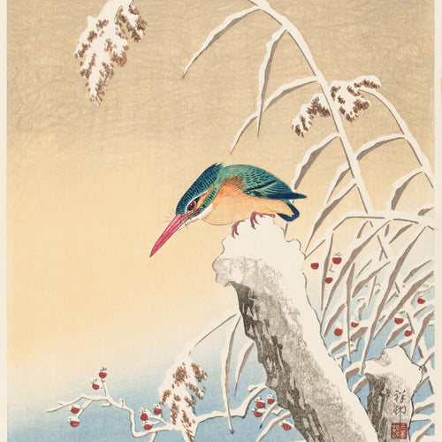 Kingfisher in the snow (1925 - 1936) by Ohara Koson