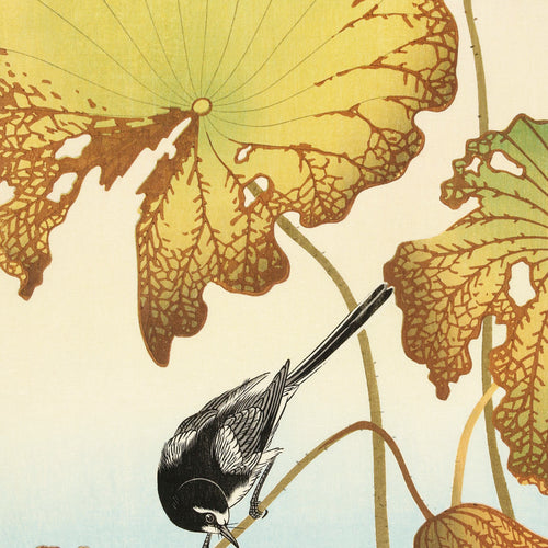 Japanese wagtail on lotus plant (1925 - 1936) by Ohara Koson