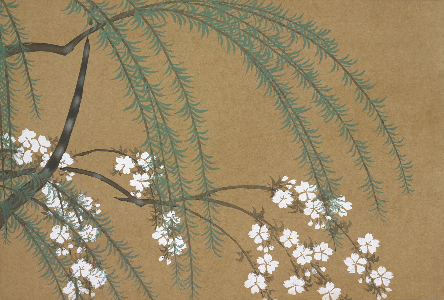 Blossoms from Momoyogusa-Flowers of a Hundred Generations (1909) by Kamisaka Sekka