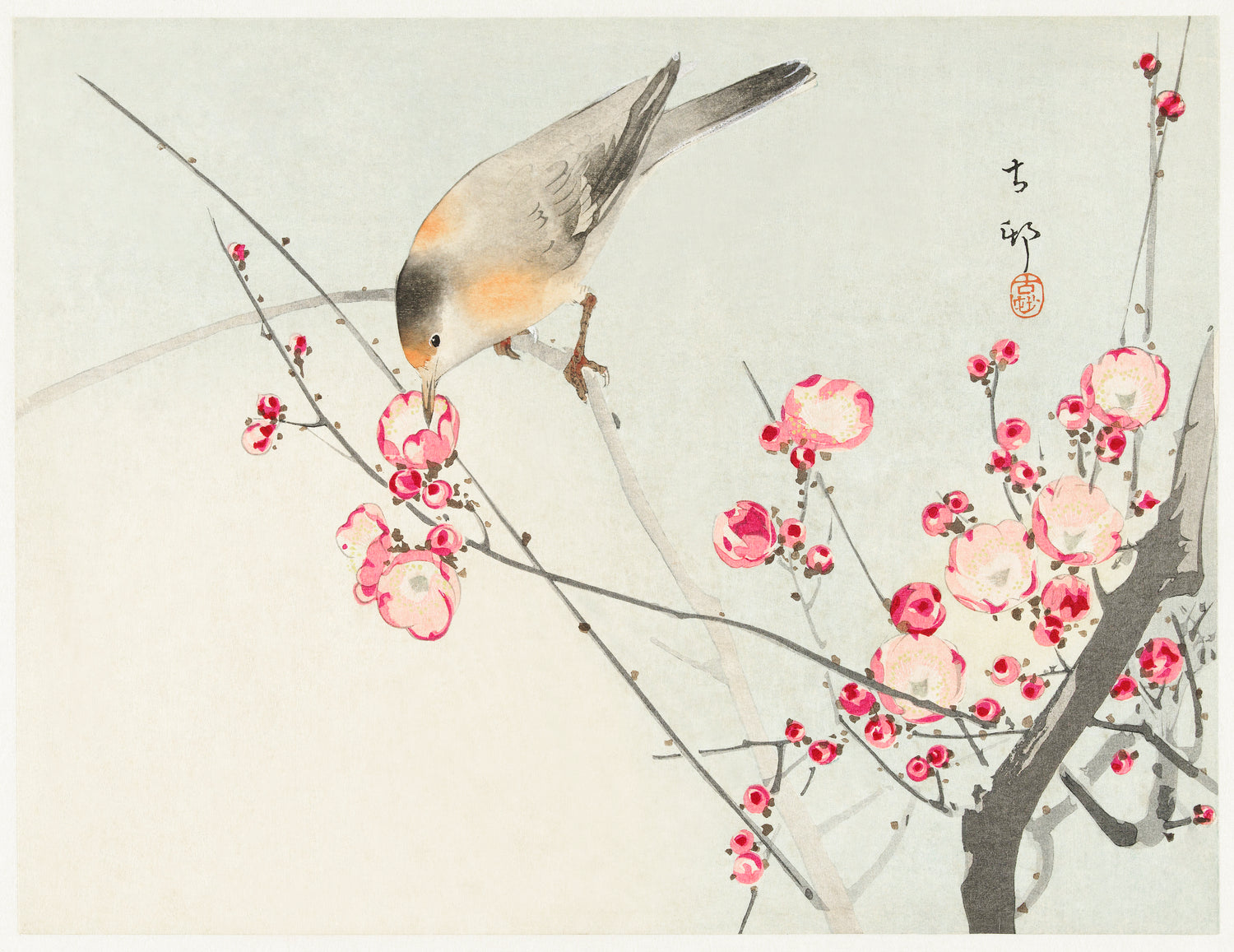 Songbird on blossom branch (1900 - 1936) by Ohara Koson