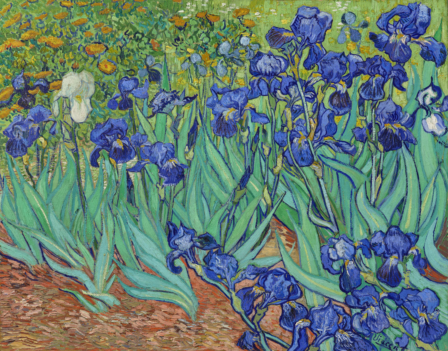 Irises (1889) by Vincent van Gogh