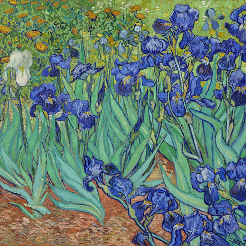 Irises (1889) by Vincent van Gogh