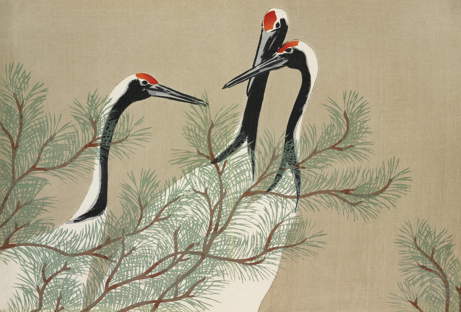 Cranes from Momoyogusa-Flowers of a Hundred Generations (1909) by Kamisaka Sekka