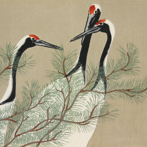 Cranes from Momoyogusa-Flowers of a Hundred Generations (1909) by Kamisaka Sekka