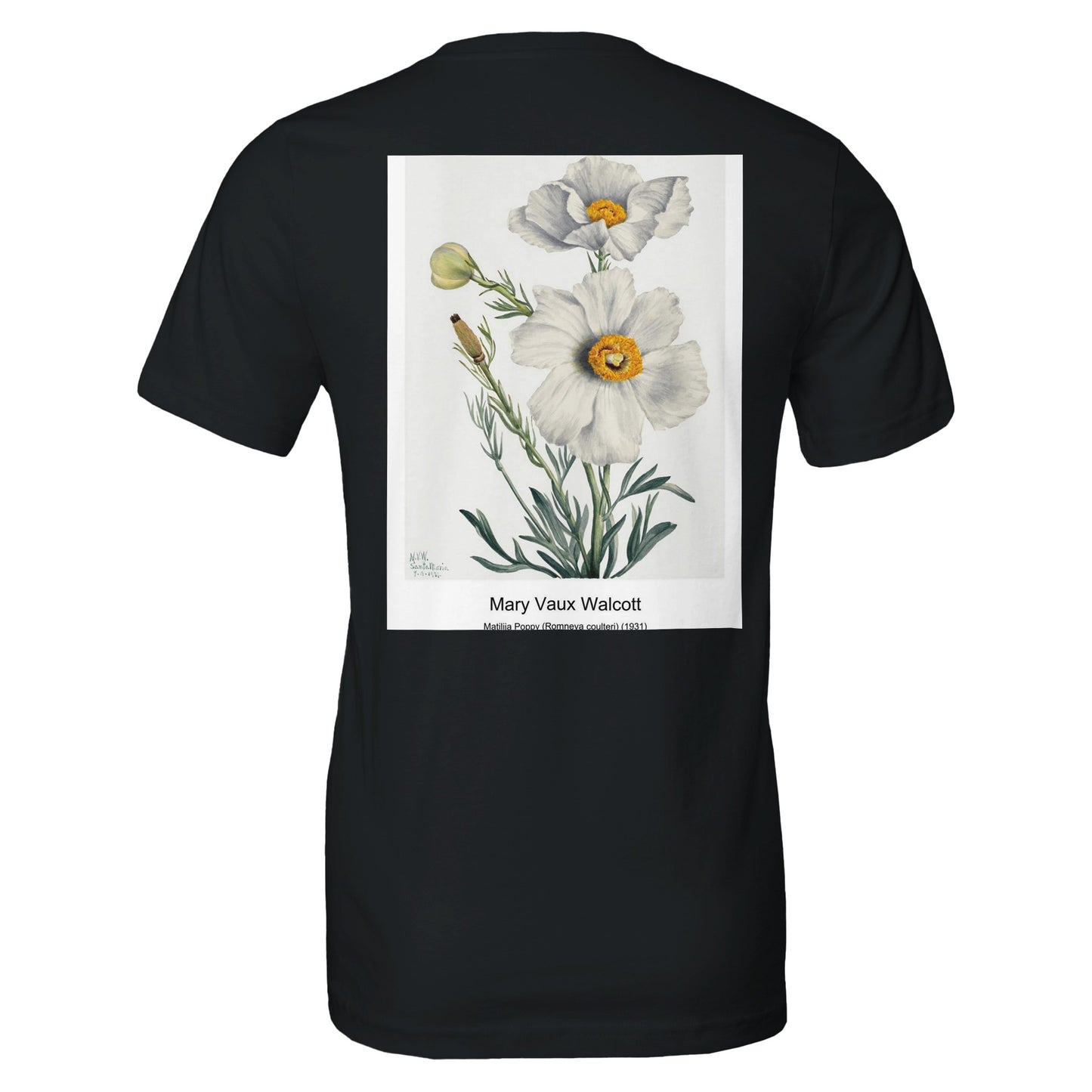 0007a6d5-7ea6-4be3-bbab-7cb7b33c0b7f