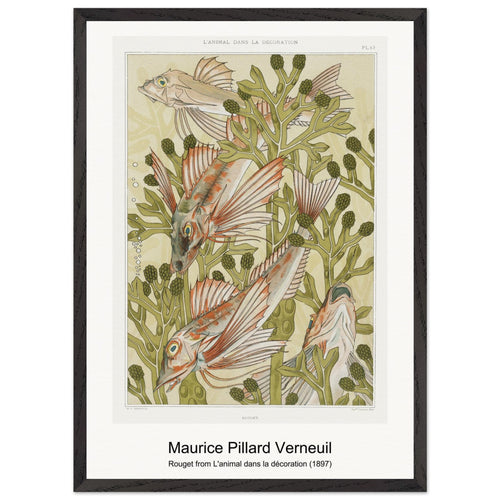 Rouget from L'animal dans la décoration (1897) by Maurice Pillard Verneuil. Archival Print on Museum Quality Matte Paper. Premium Wood Framed Wall Art. Optimised Aspect Ratio.