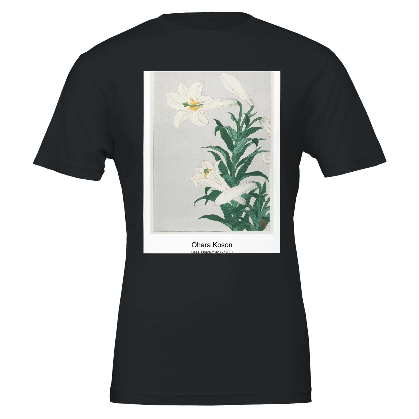 00a57951-49d3-4dd0-8022-cdb6f7689d51