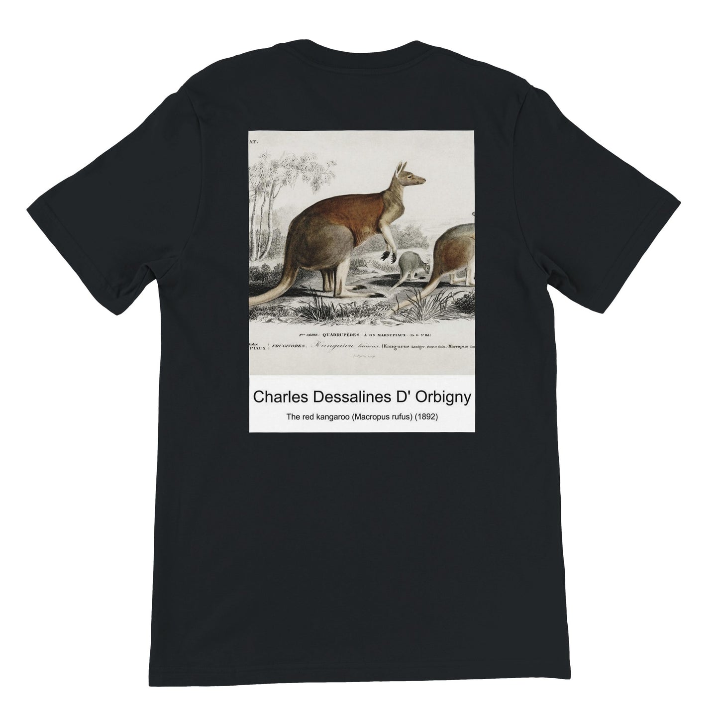 00ed5cb2-cb40-4bea-b918-ba3baf95b77e