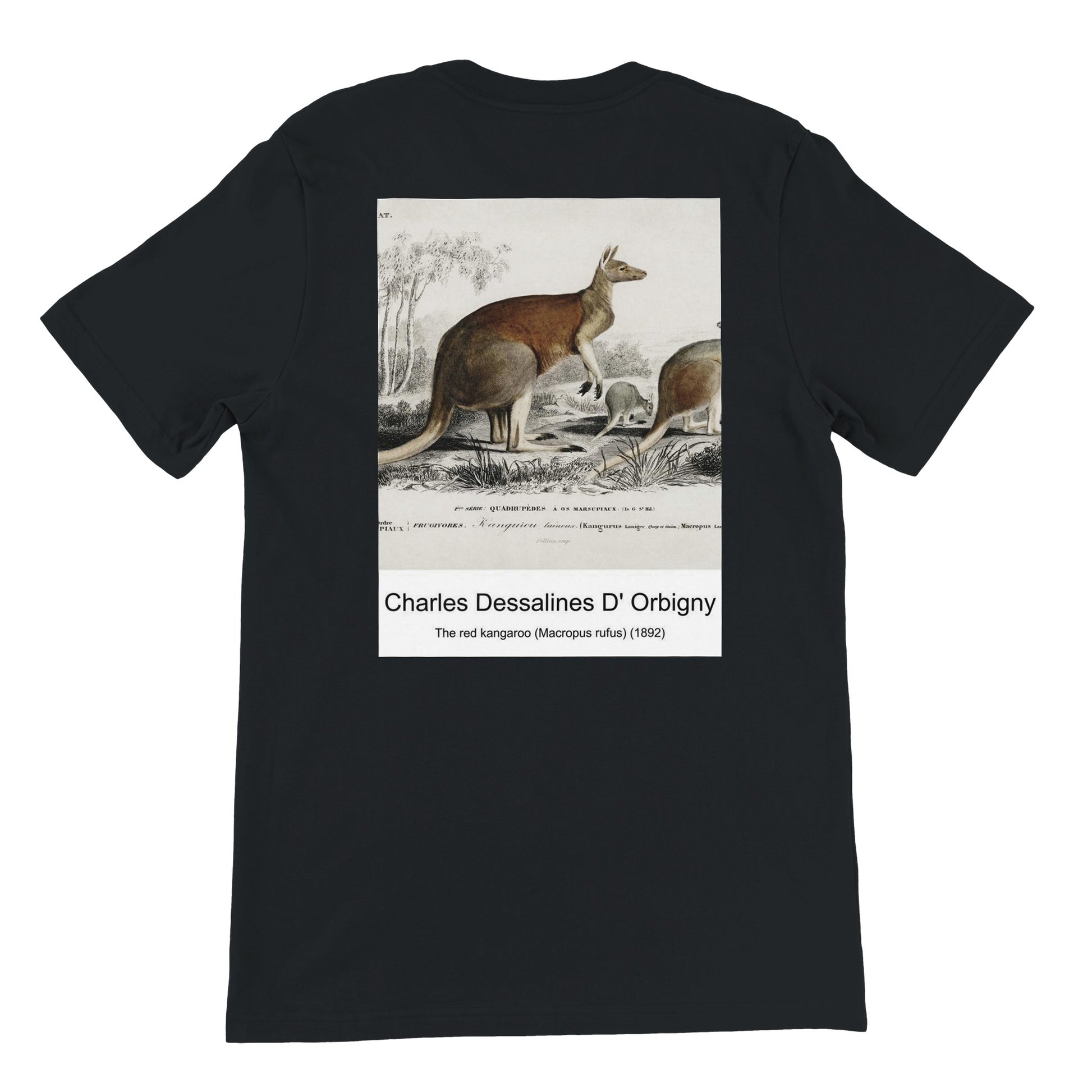 00ed5cb2-cb40-4bea-b918-ba3baf95b77e