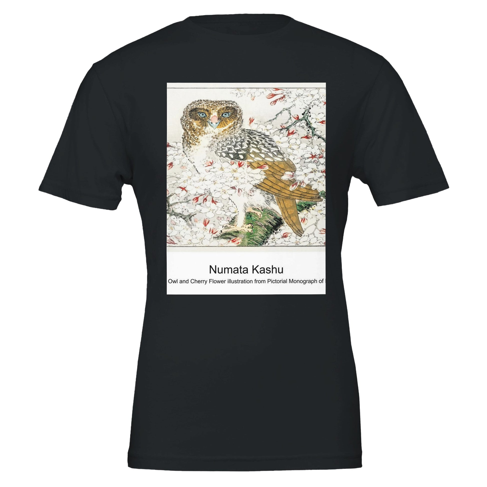 00f4f782-2576-4e73-a4f5-bc32a3e67fd9