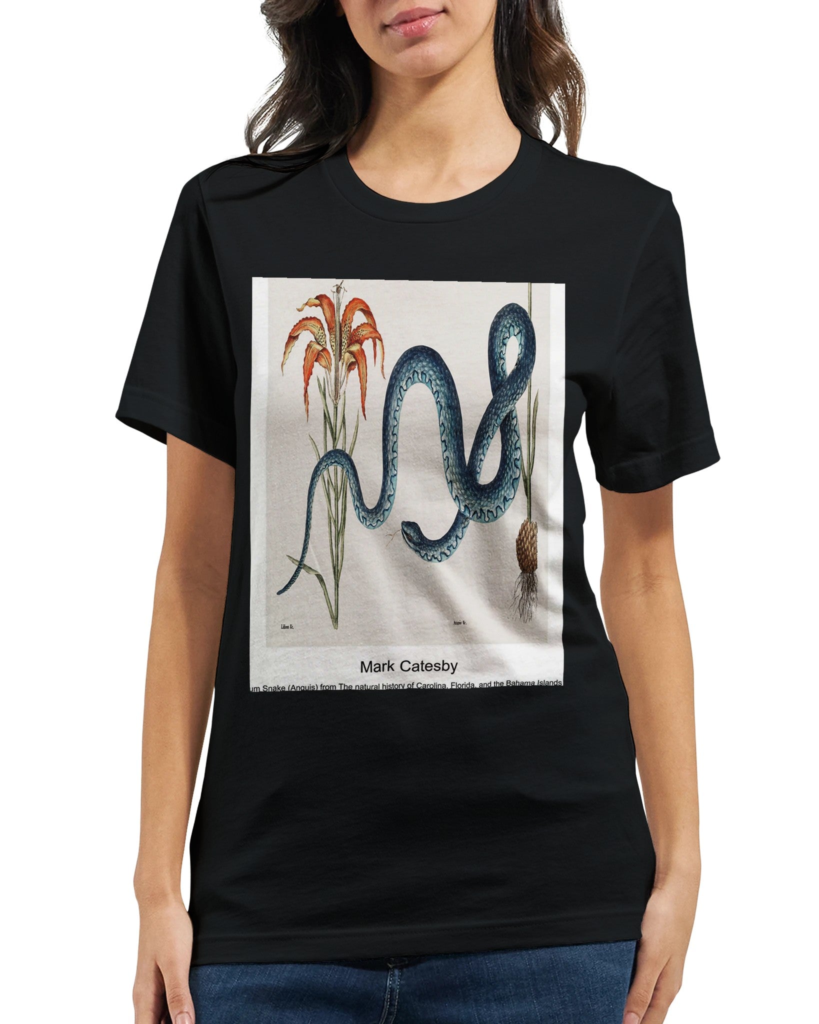 00fa08bf-bacc-4643-bd52-d51af74ac50d