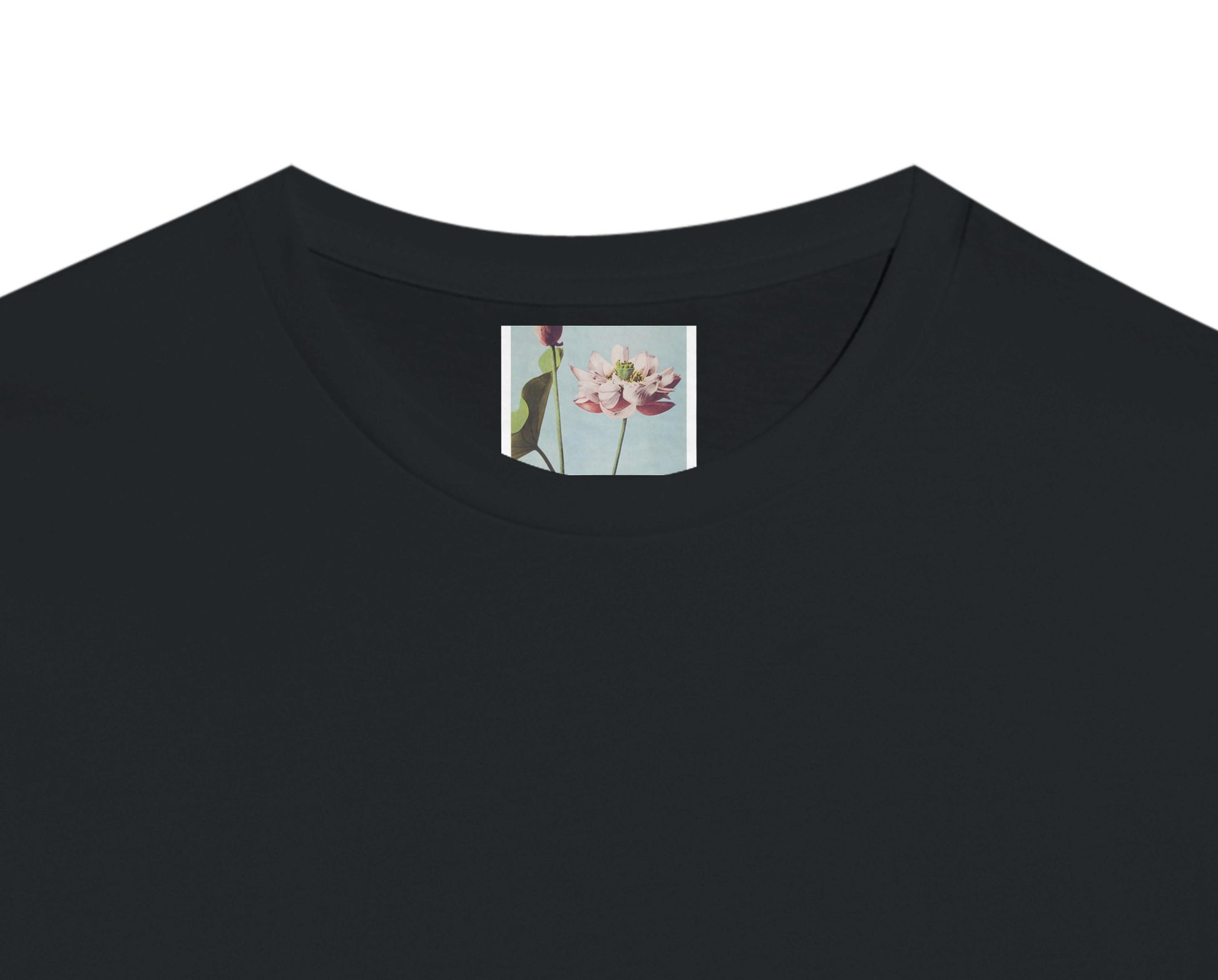 018cc782-5663-4627-8ed4-dd926a2b155e