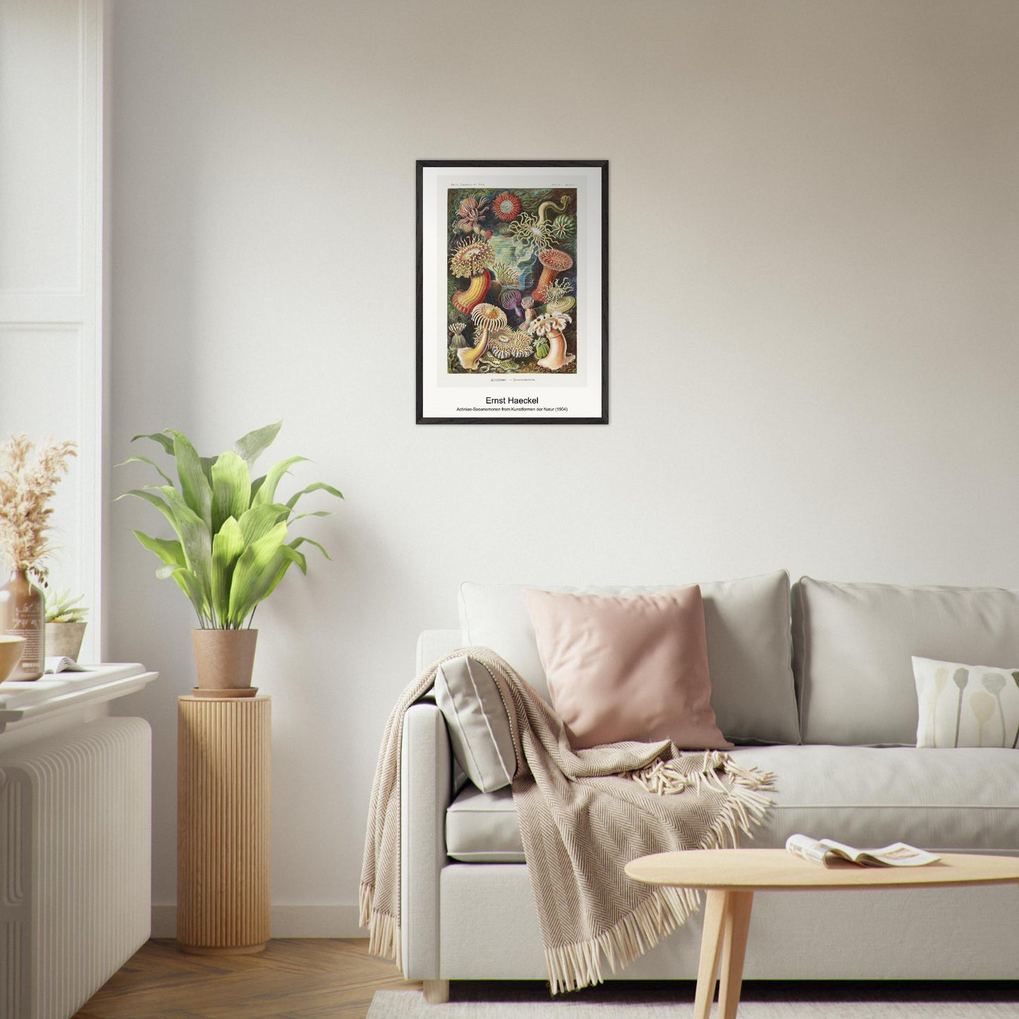 020724f6-93af-472f-a093-82ecd117dcfc