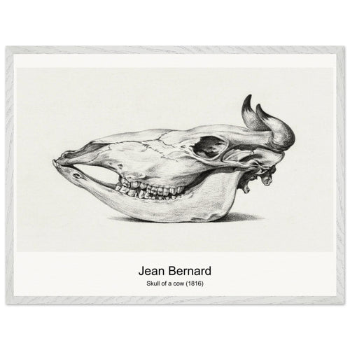 Skull of a cow (1816) by Jean Bernard. Archival Print on Museum Quality Matte Paper. Premium Wood Framed Wall Art. Optimised Aspect Ratio.