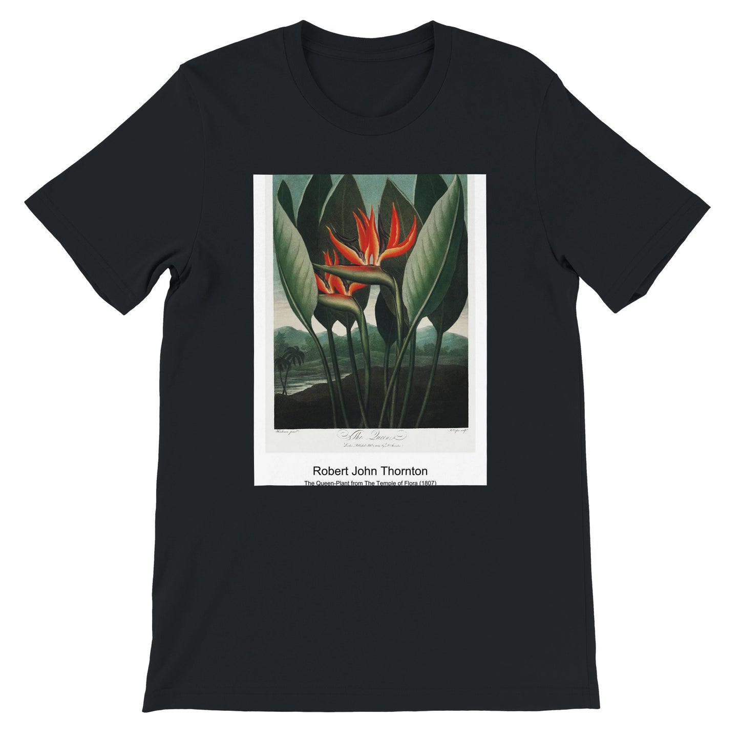 023e5020-e806-4d81-a8f8-313291180bce