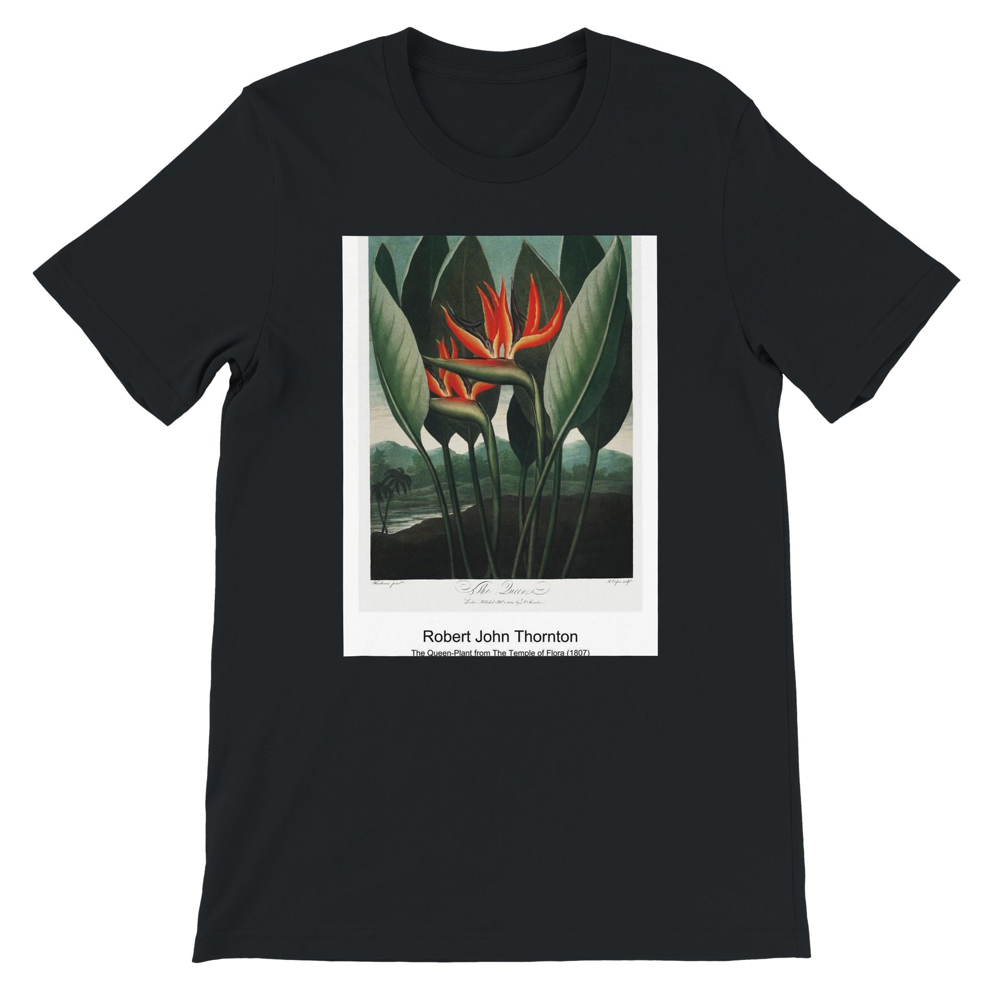 023e5020-e806-4d81-a8f8-313291180bce