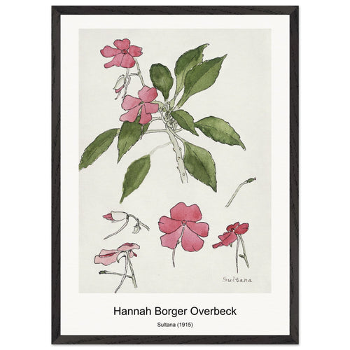 Sultana (1915) by Hannah Borger Overbeck. Archival Print on Museum Quality Matte Paper. Premium Wood Framed Wall Art. Original Aspect Ratio