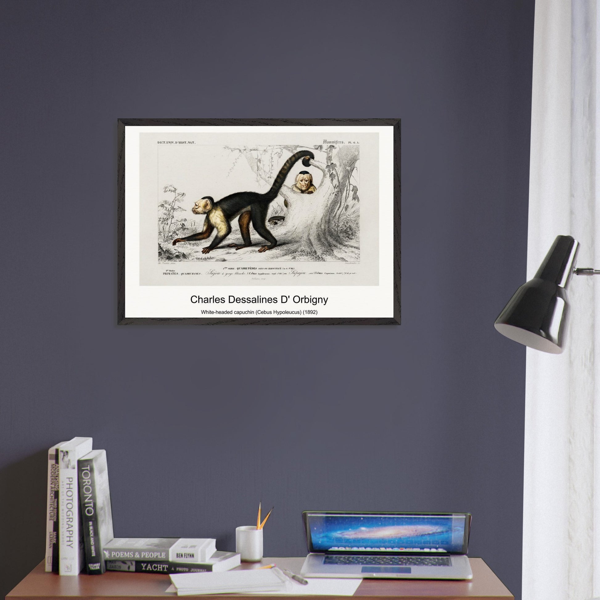 0310106e-a929-405e-88aa-d7cb75840f75