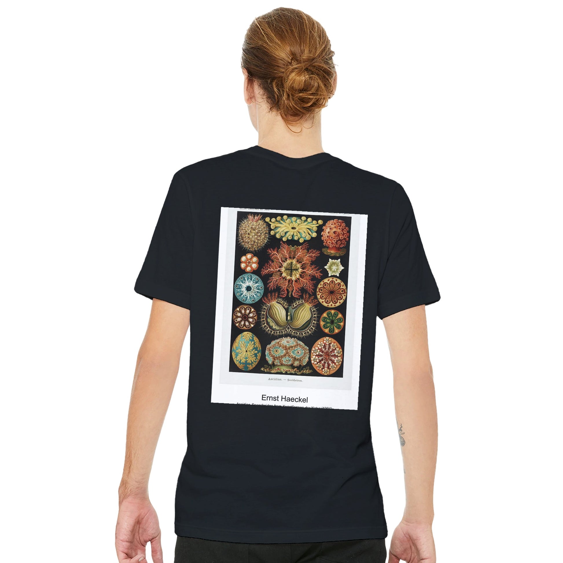 033ec7be-dac4-4511-80c7-c7b00ca9ba45