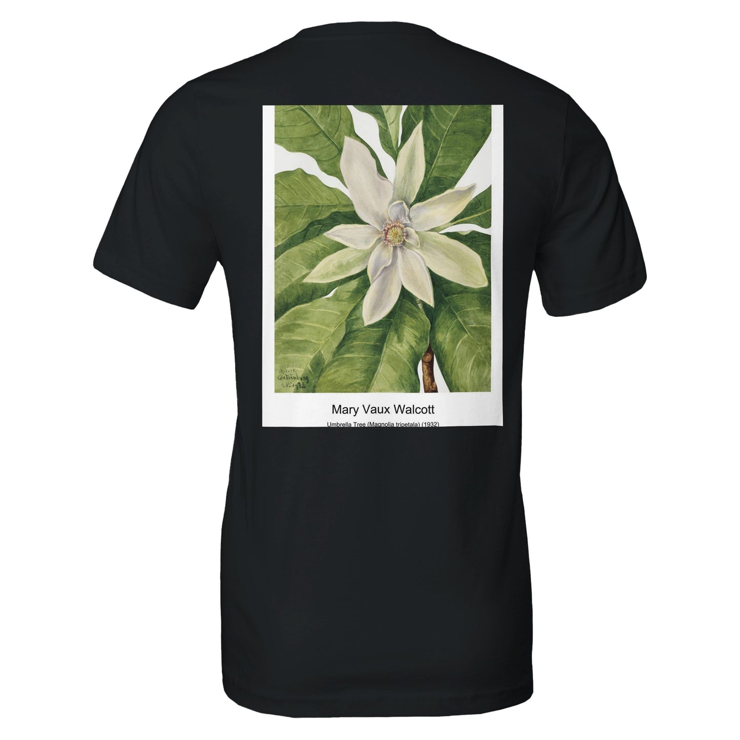 0386a32f-7b98-4c56-a2c0-9fd870194d00