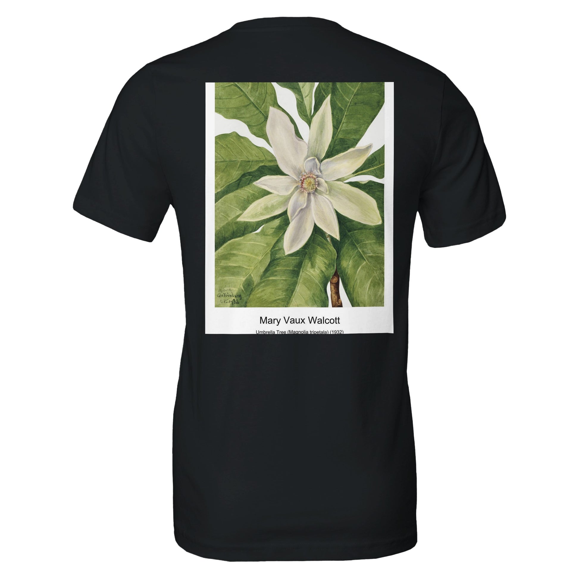 0386a32f-7b98-4c56-a2c0-9fd870194d00