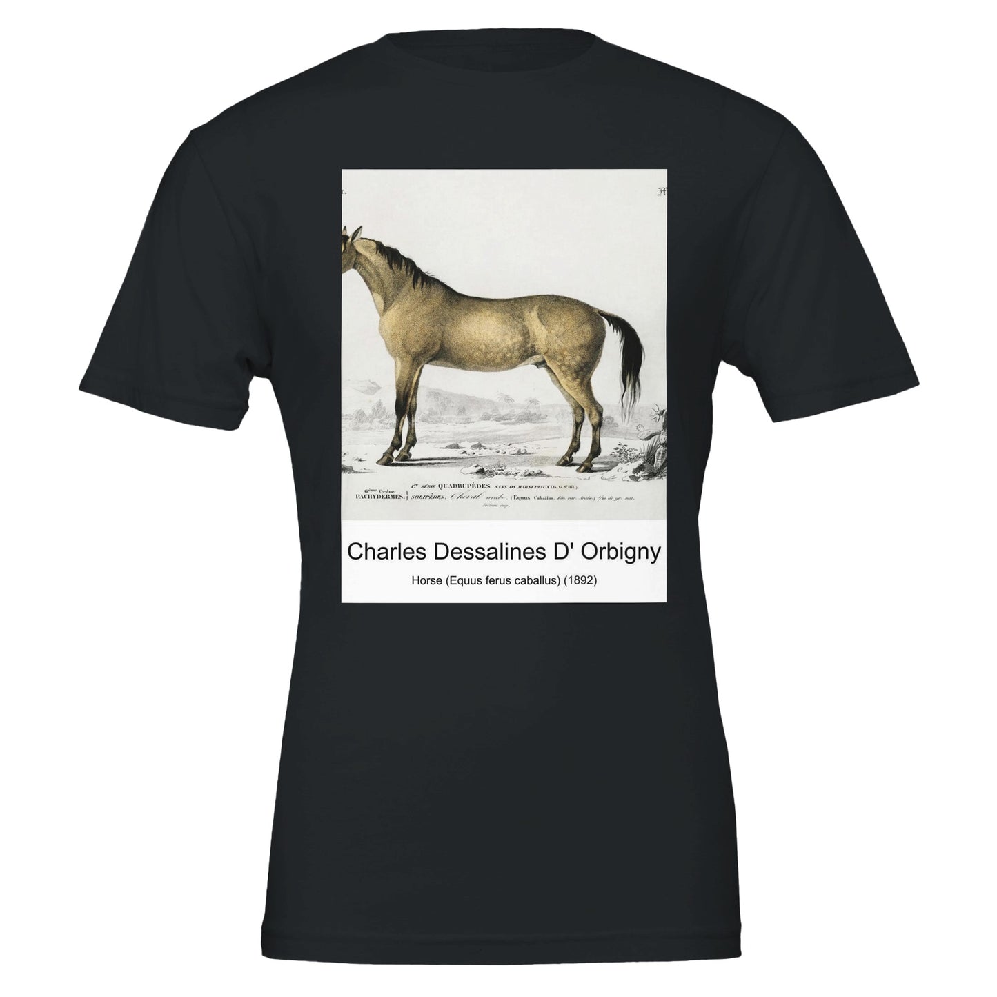 0454e5f6-8945-4bcc-8cb6-59483553855e