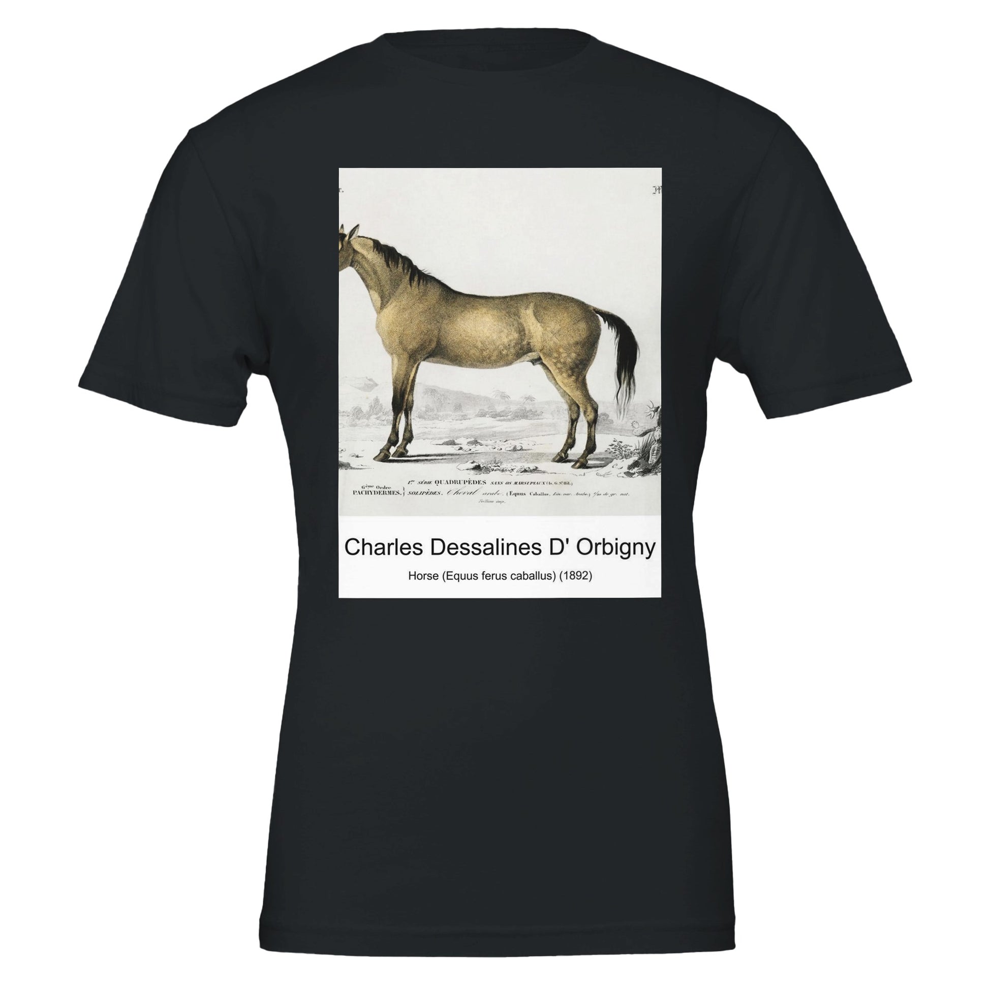 0454e5f6-8945-4bcc-8cb6-59483553855e